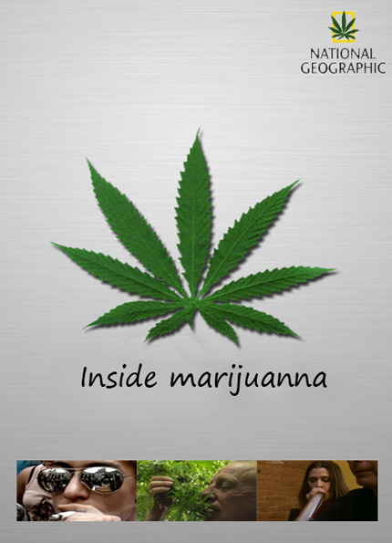 Документальный фильм о вреде курения марихуаны где найти коноплю в лесу